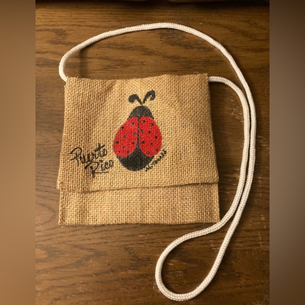 Lady Bug Purse
